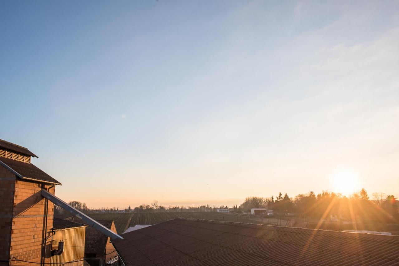 Nouveau - La Parenthese Wingersheim-les-Quatre-Bans Exteriör bild